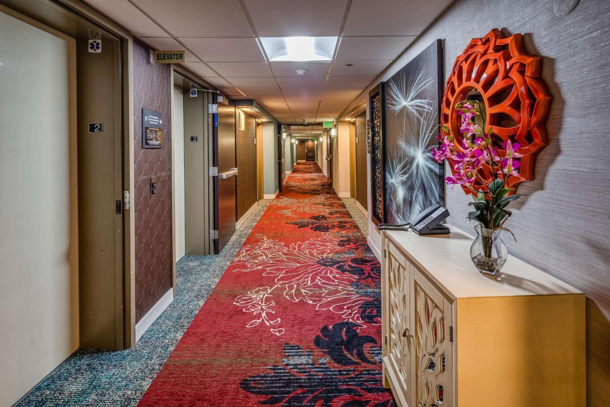 Hampton Inn San Francisco Airport South San Francisco Ngoại thất bức ảnh